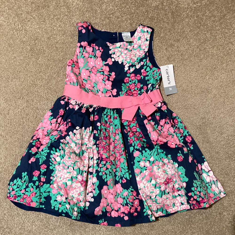 NWT Carter’s Dress